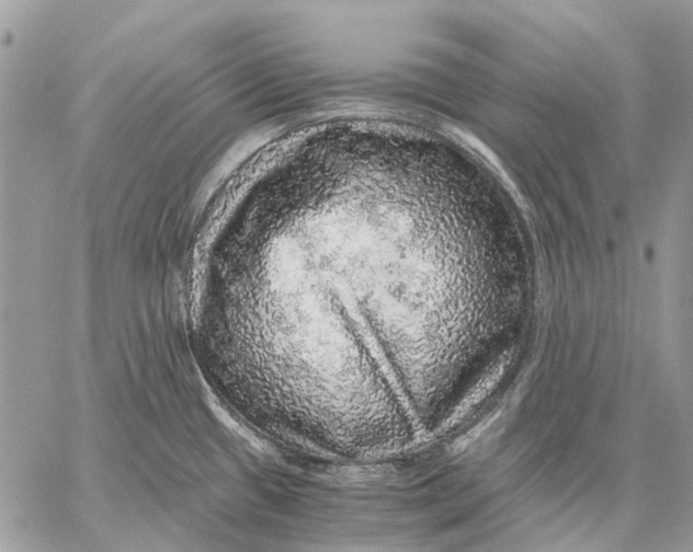 X0000058781433200510211737