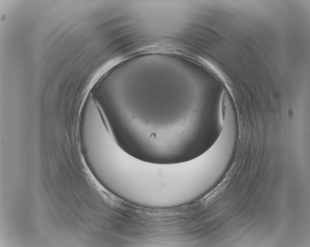 X0000058781434200510211737