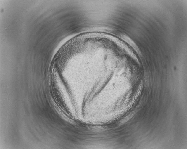 X0000058781436200510211737