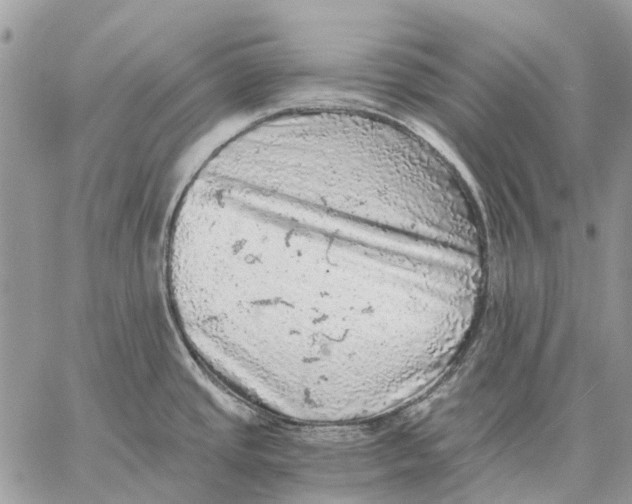 X0000058781437200510211737