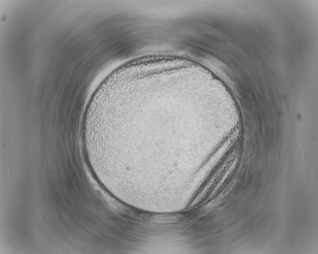 X0000058781440200510211737