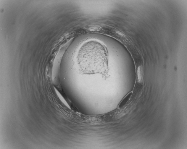 X0000058781443200510211736