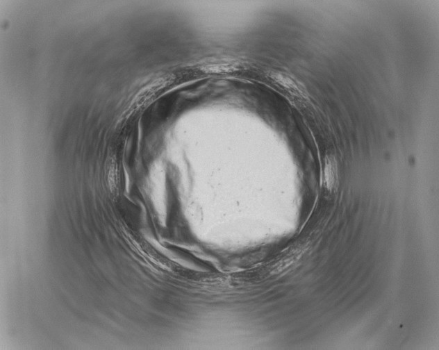 X0000058781444200510211736