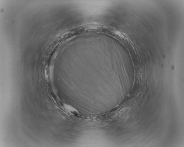 X0000058781445200510211736