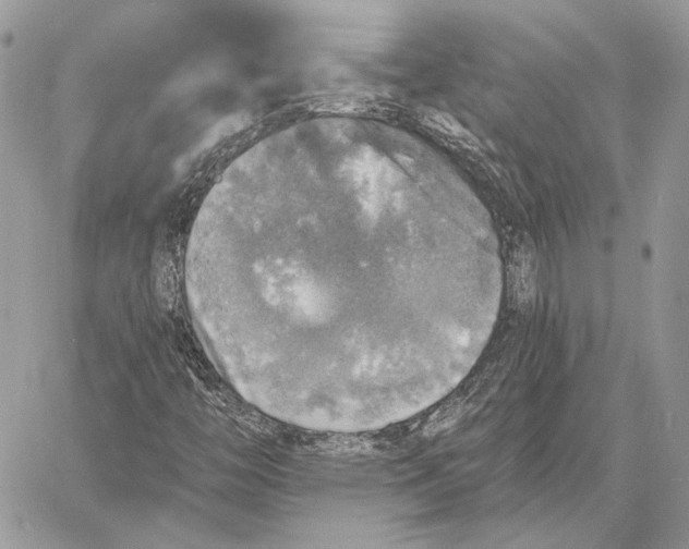 X0000058781446200510211736