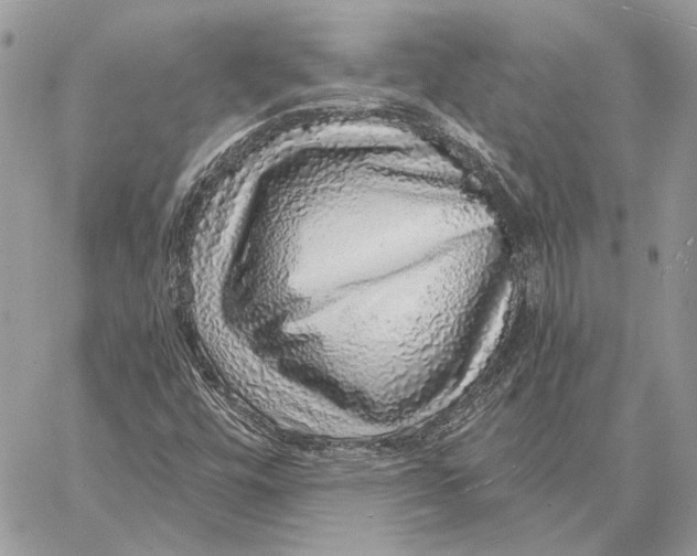 X0000058781448200510211736