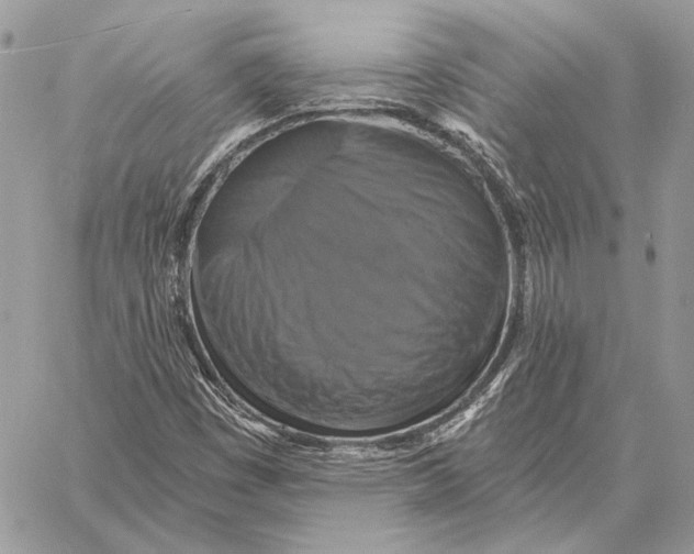 X0000058781449200510211736