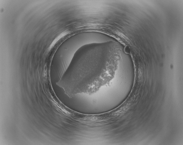 X0000058781450200510211736