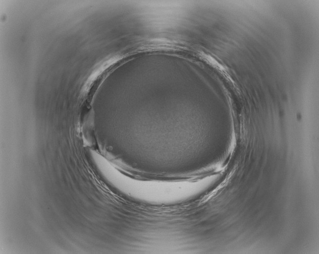 X0000058781453200510211736