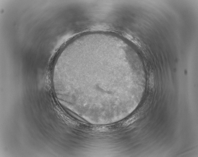 X0000058781454200510211736