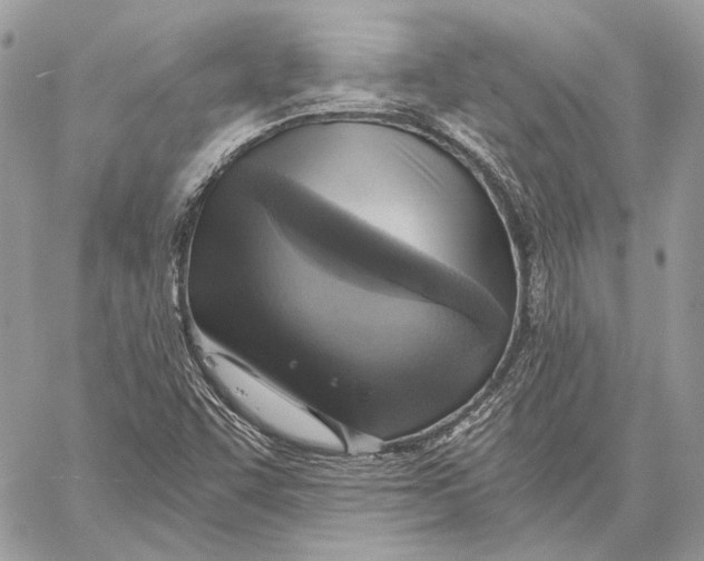 X0000058781455200510211736