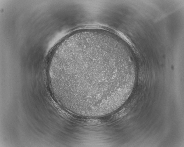 X0000058781456200510211736