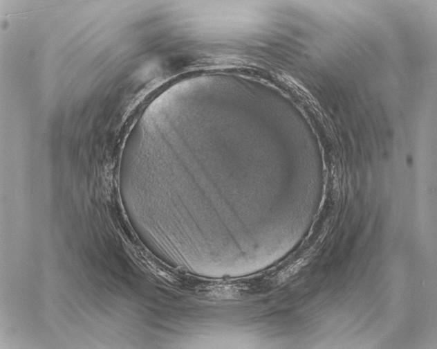 X0000058781457200510211736