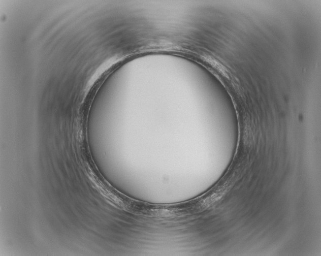 X0000058781458200510211736