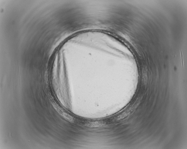 X0000058781460200510211736