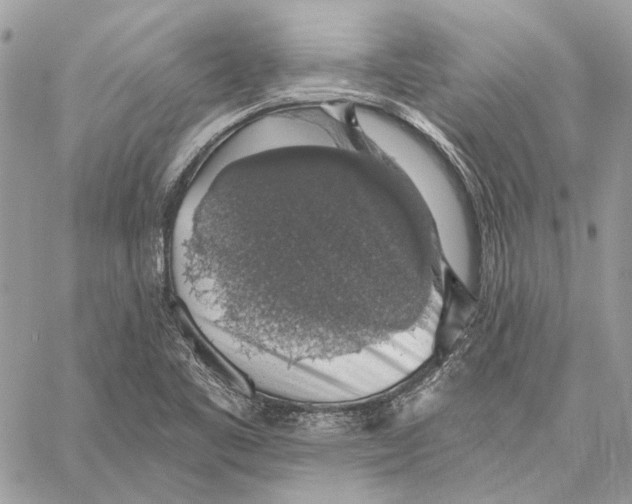 X0000058781461200510211736