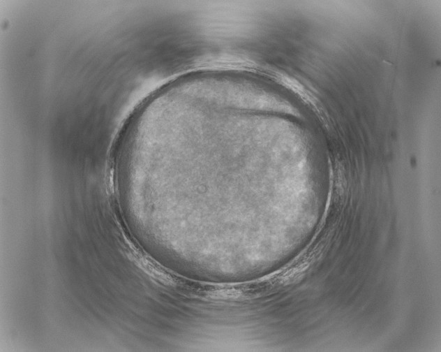 X0000058781462200510211736