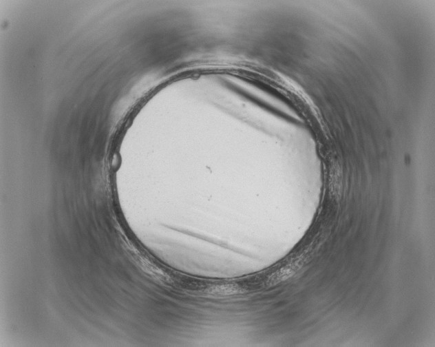 X0000058781464200510211736