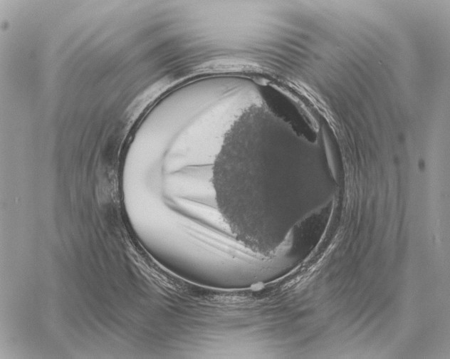 X0000058781465200510211736