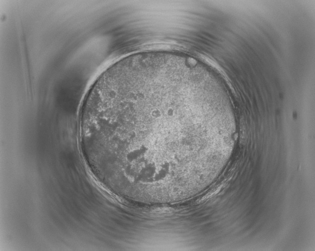 X0000058781467200510211736