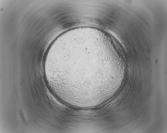 X0000058781468200510211736