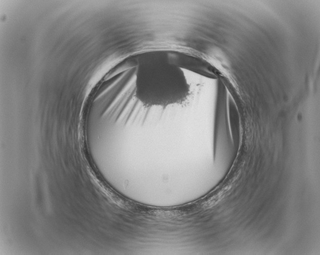 X0000058781469200510211736