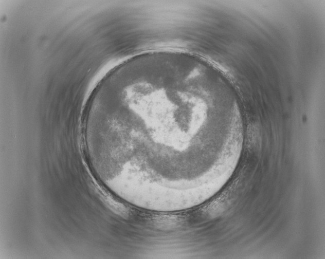 X0000058781470200510211736