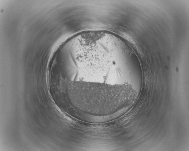 X0000058781472200510211736