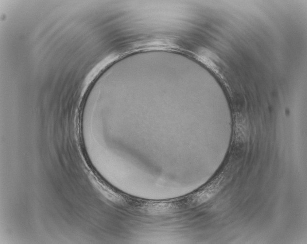 X0000058781474200510211736