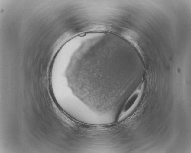 X0000058781475200510211736