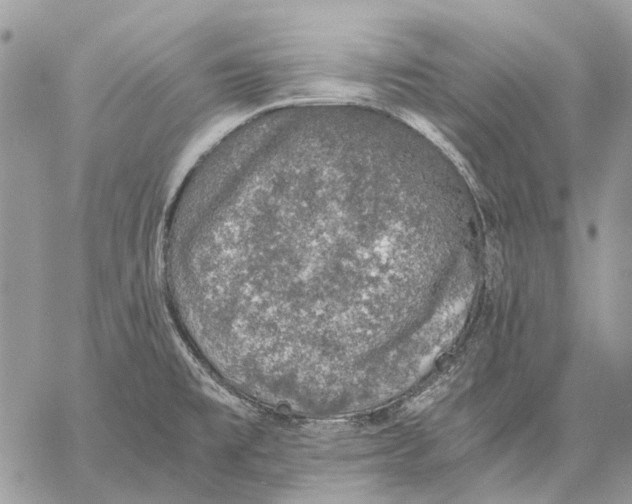 X0000058781477200510211735