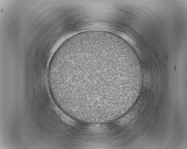 X0000058781478200510211735