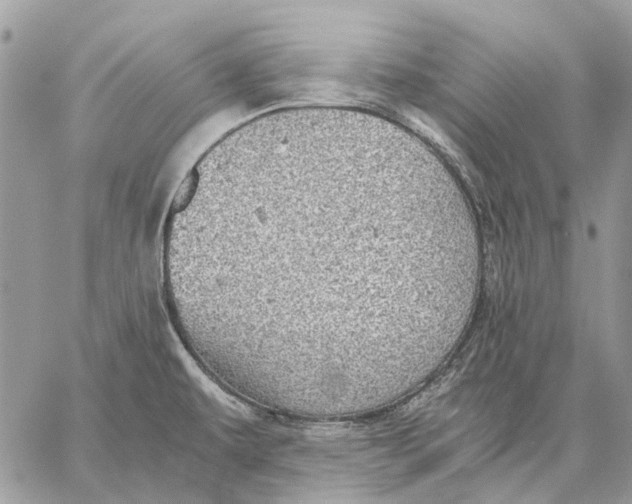 X0000058781479200510211735