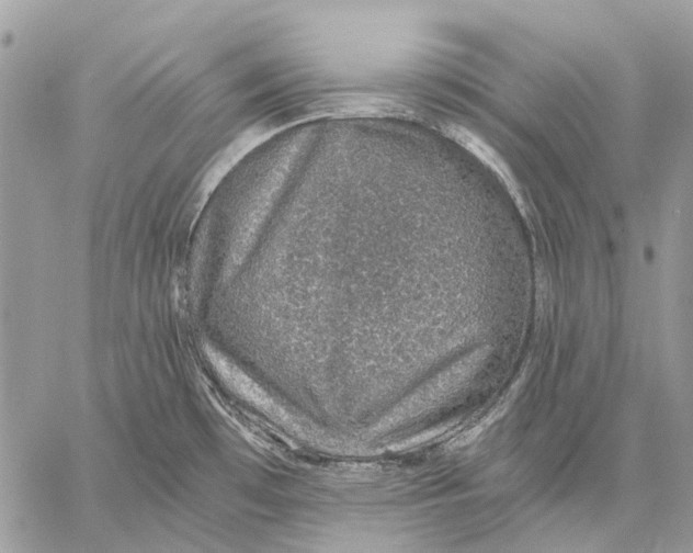 X0000058781481200510211735