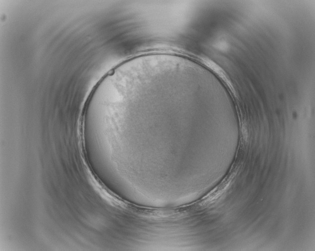 X0000058781482200510211735