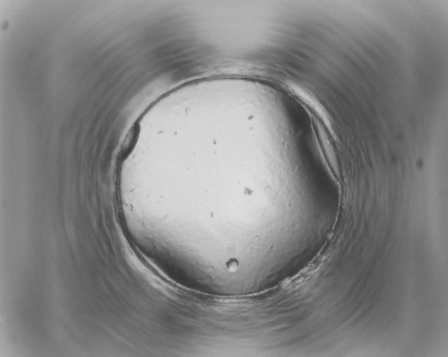 X0000058781483200510211735