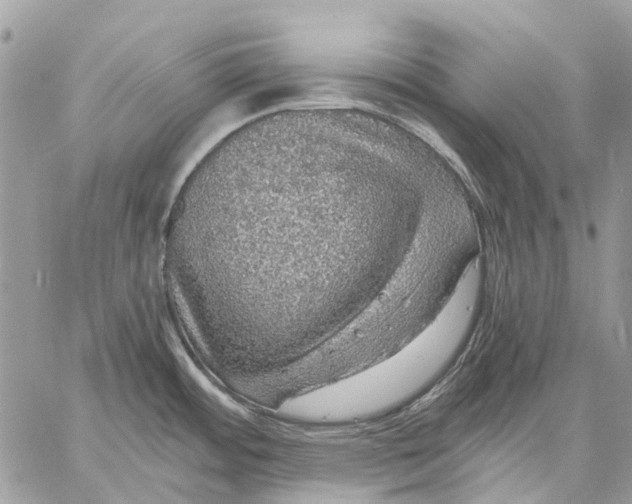 X0000058781484200510211735