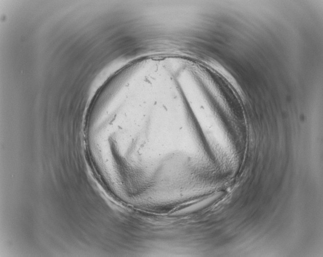 X0000058781485200510211735