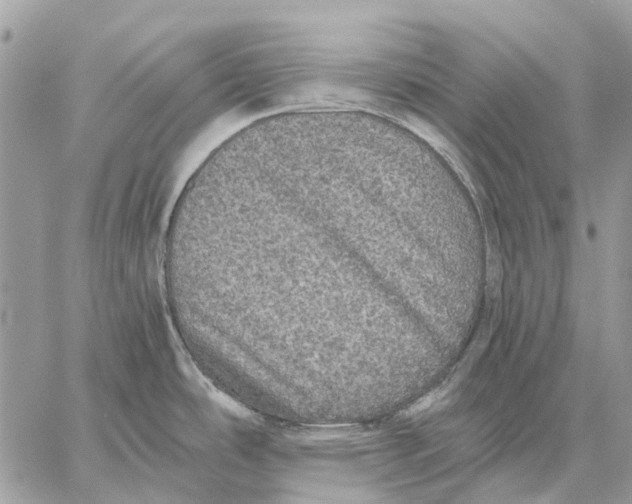 X0000058781486200510211735