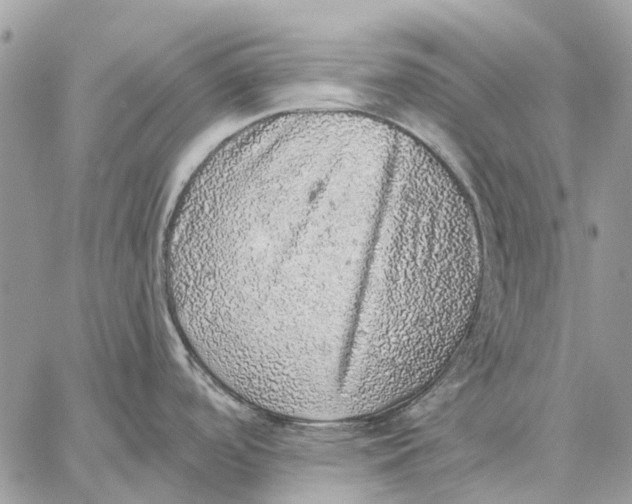 X0000058781488200510211735