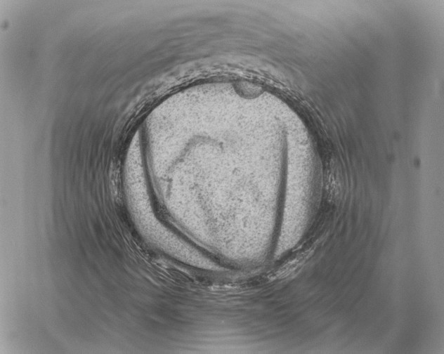 X0000058781490200510211735