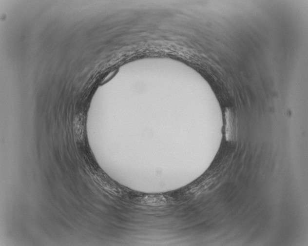 X0000058781491200510211735