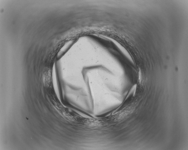 X0000058781492200510211735