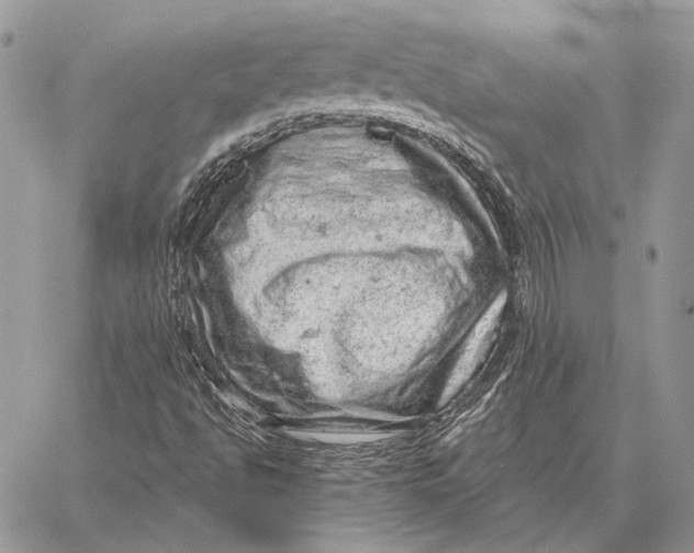 X0000058781494200510211735