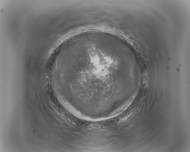 X0000058781496200510211735