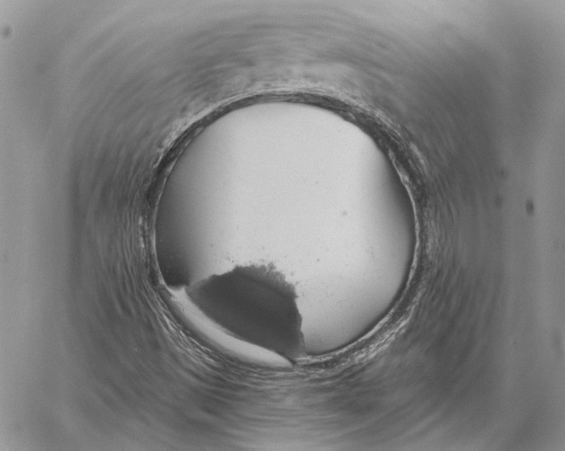 X0000058781497200510211735