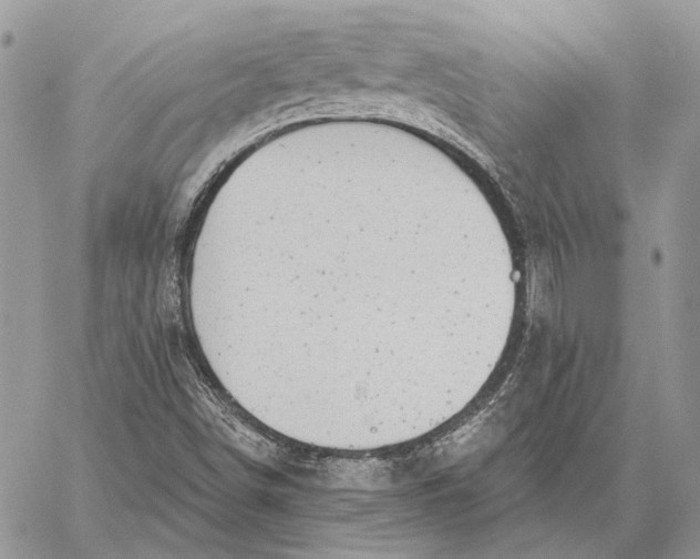 X0000058781498200510211735