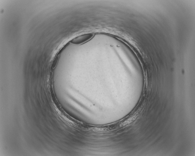 X0000058781500200510211735