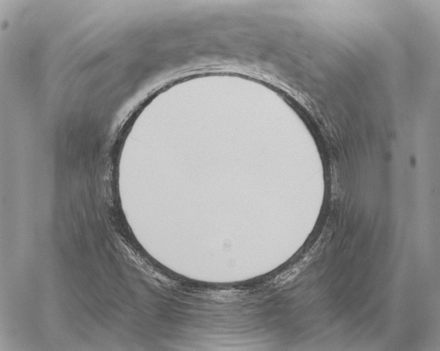 X0000058781502200510211735