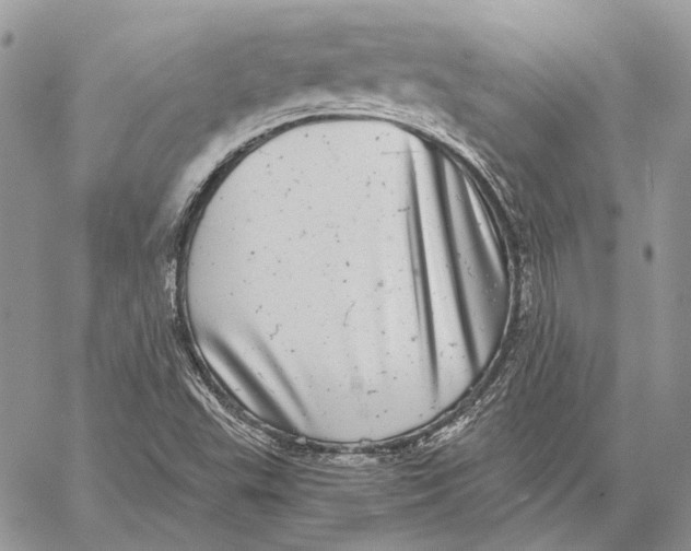 X0000058781503200510211735